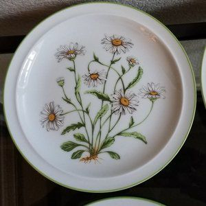 4 Royal Domino Wild Daisy Salad Plates